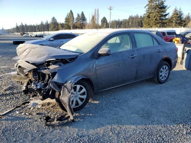 2009 Toyota Corolla Base