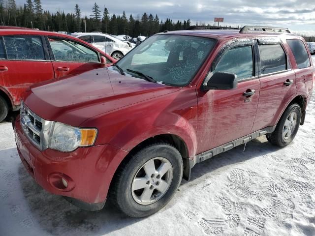 2011 Ford Escape XLT