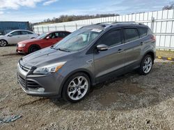 Salvage cars for sale at Anderson, CA auction: 2013 Ford Escape Titanium