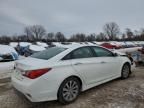 2014 Hyundai Sonata SE