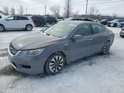 Honda salvage cars for sale: 2014 Honda Accord Hybrid