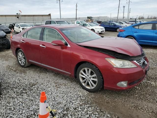 2010 Lexus ES 350