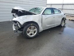 Dodge salvage cars for sale: 2022 Dodge Charger SXT