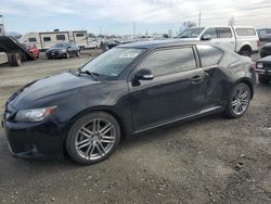 Salvage cars for sale at Eugene, OR auction: 2013 Scion TC