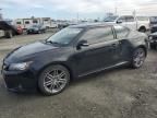 2013 Scion TC