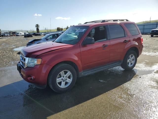 2009 Ford Escape XLT