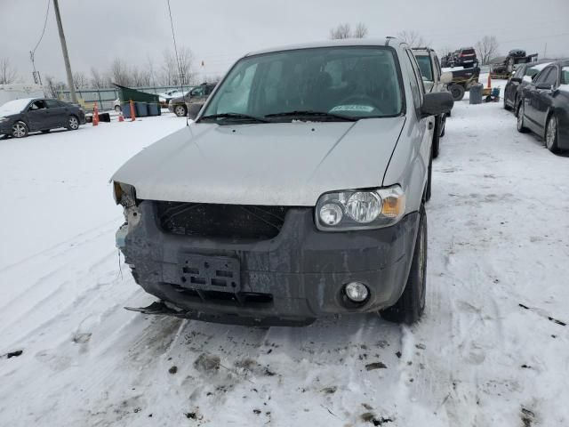 2007 Ford Escape XLT