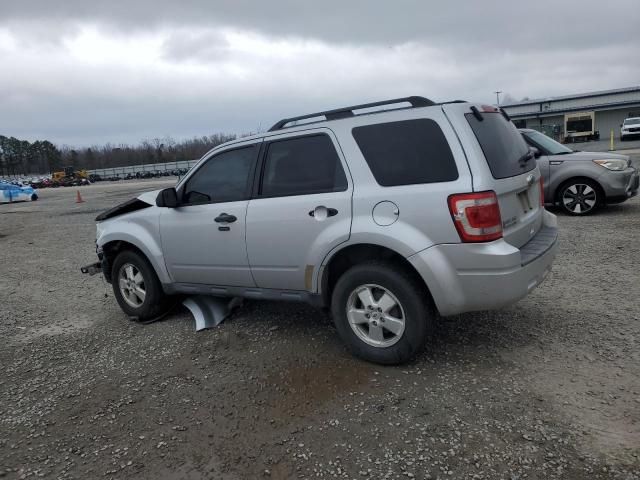 2011 Ford Escape XLT