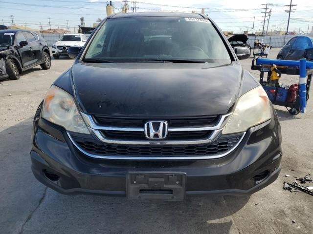 2010 Honda CR-V EXL