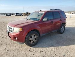 2012 Ford Escape XLT en venta en San Antonio, TX