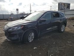 Salvage cars for sale at Chicago Heights, IL auction: 2021 Ford Escape SE