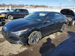 Salvage cars for sale at Pennsburg, PA auction: 2023 Hyundai Elantra SEL