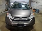 2010 Honda CR-V EXL