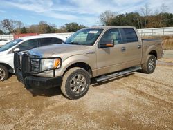 2013 Ford F150 Supercrew en venta en Theodore, AL