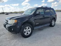 2008 Ford Escape HEV en venta en Arcadia, FL