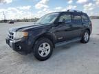 2008 Ford Escape HEV