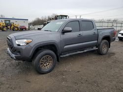 Salvage cars for sale at Hillsborough, NJ auction: 2023 Toyota Tacoma Double Cab