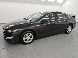 Salvage cars for sale at Van Nuys, CA auction: 2023 Chevrolet Malibu LT