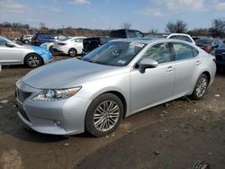 Salvage cars for sale at Baltimore, MD auction: 2013 Lexus ES 350