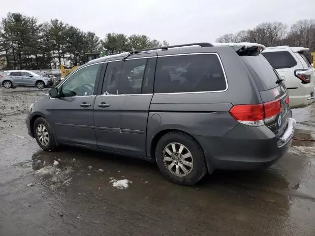 2008 Honda Odyssey EX