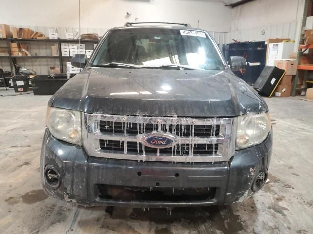 2008 Ford Escape Limited