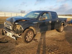 Salvage cars for sale from Copart Houston, TX: 2009 Ford F150 Supercrew