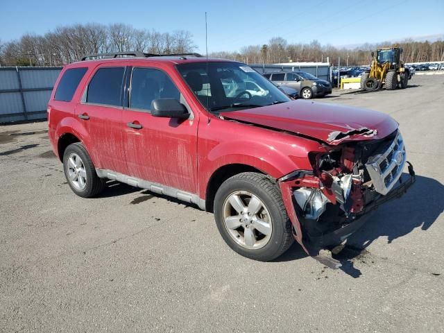 2010 Ford Escape XLT