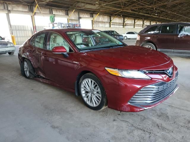 2019 Toyota Camry Hybrid