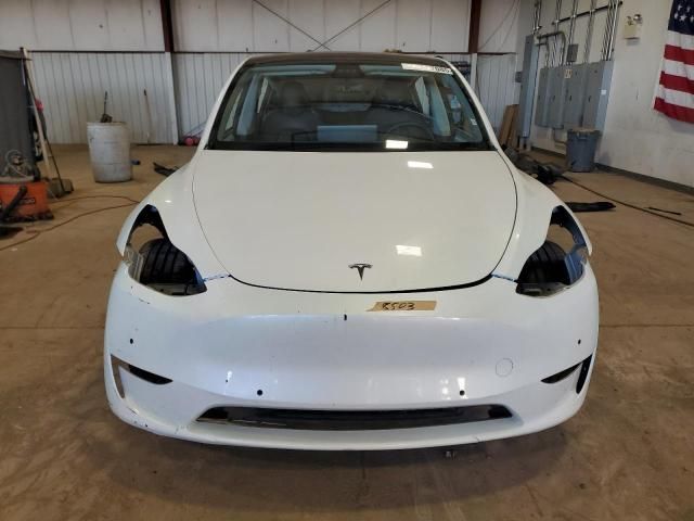 2020 Tesla Model Y