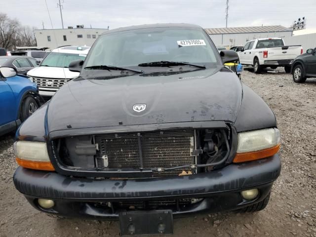 2004 Dodge Dakota Quad Sport