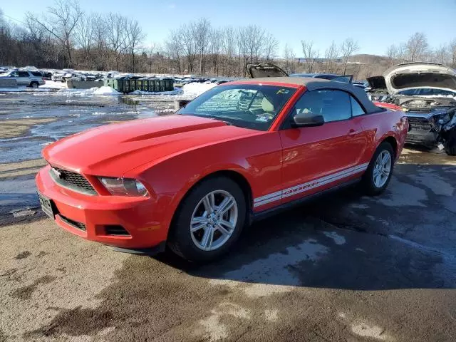 2011 Ford Mustang