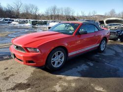 Salvage cars for sale at Marlboro, NY auction: 2011 Ford Mustang