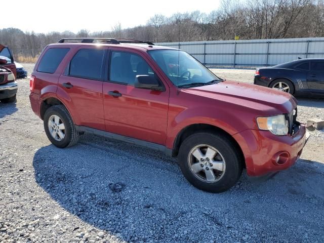 2011 Ford Escape XLT