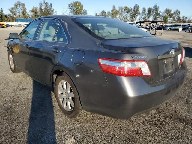 2009 Toyota Camry Hybrid