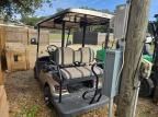 2021 Icon Golf Cart