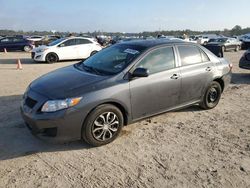 Salvage cars for sale at Houston, TX auction: 2010 Toyota Corolla Base