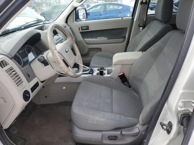 2009 Ford Escape XLT