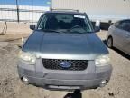 2007 Ford Escape XLT