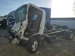 Salvage trucks for sale at Homestead, FL auction: 2024 Isuzu NPR XD