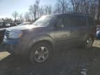 2013 Honda Pilot EXL