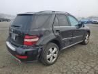 2010 Mercedes-Benz ML 350