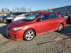 Salvage cars for sale at Spartanburg, SC auction: 2011 Toyota Corolla Base