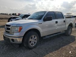 Salvage trucks for sale at Houston, TX auction: 2014 Ford F150 Supercrew