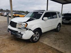 Honda Vehiculos salvage en venta: 2013 Honda Pilot EXL