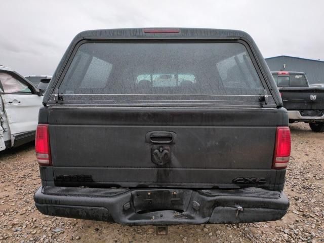 2000 Dodge Dakota Quattro