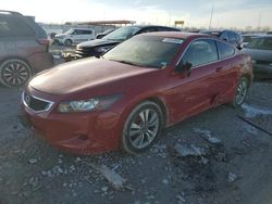 Salvage cars for sale at Cahokia Heights, IL auction: 2008 Honda Accord EXL