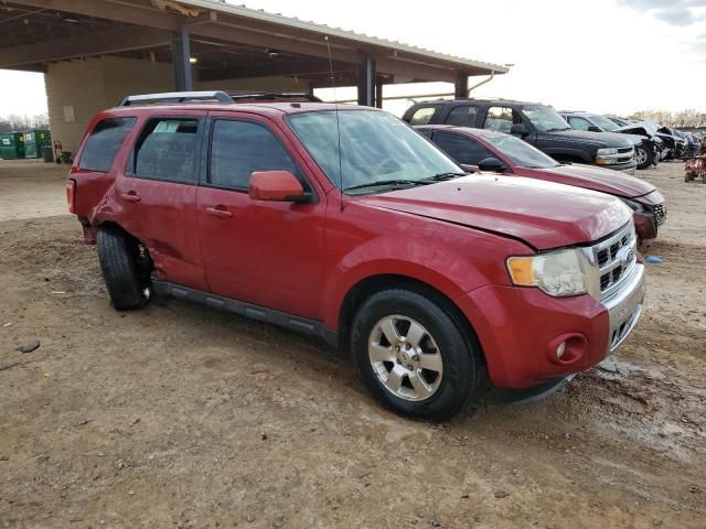 2011 Ford Escape Limited