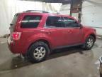 2010 Ford Escape Limited