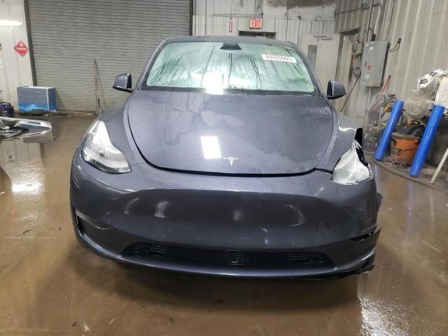 2020 Tesla Model Y