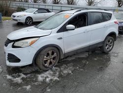 Salvage cars for sale at Arlington, WA auction: 2013 Ford Escape SE